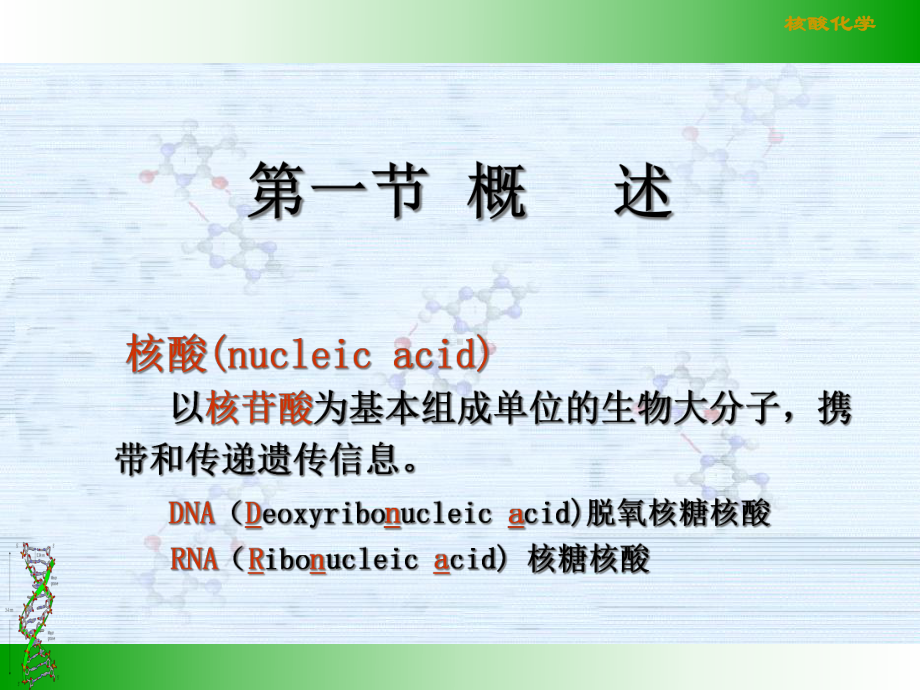 生物化学-第二章-核酸化学课件.ppt_第3页