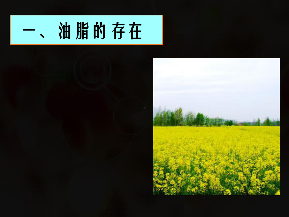 油脂-高中化学课件-高考化学课件-有机化学课件.ppt_第2页