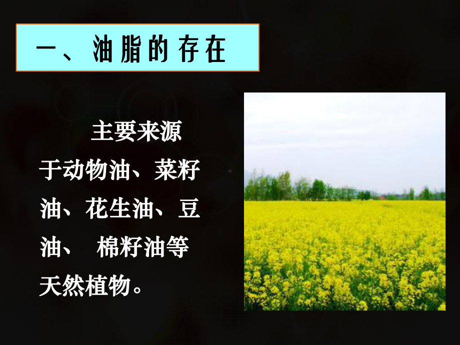 油脂-高中化学课件-高考化学课件-有机化学课件.ppt_第3页