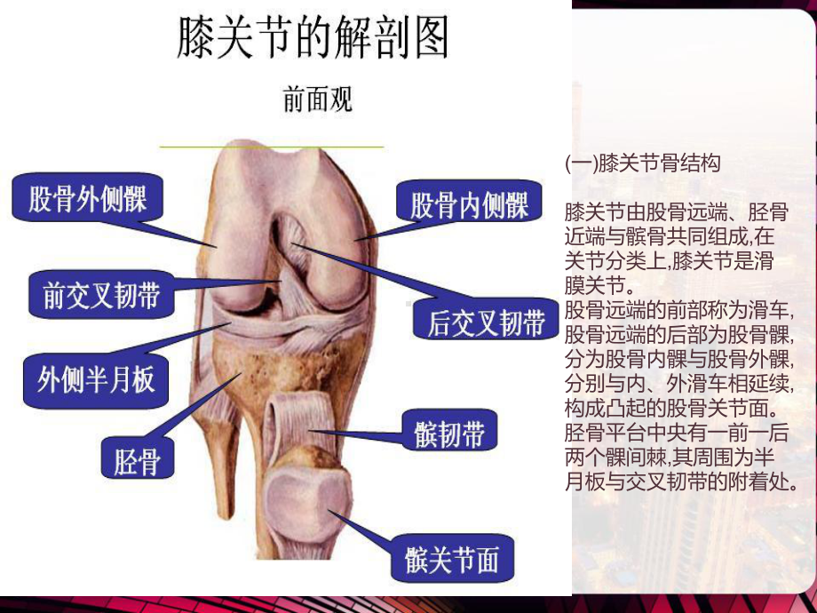 膝关节解剖与关节镜手术配合-课件.pptx_第2页