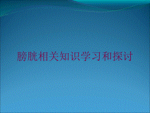 膀胱相关知识学习和探讨培训课件.ppt