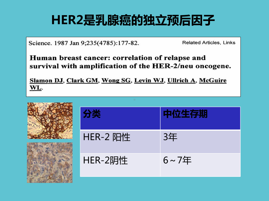 阳性乳腺癌辅助治疗课件.ppt_第3页