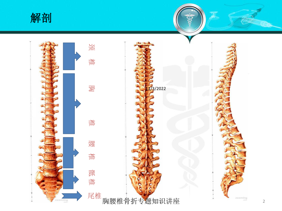 胸腰椎骨折专题知识讲座培训课件.ppt_第2页