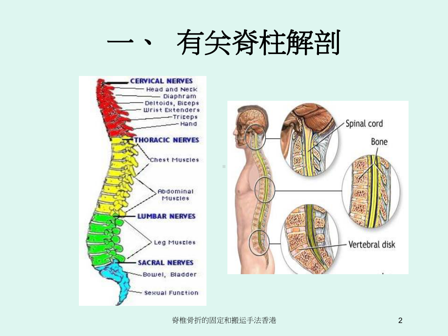 脊椎骨折的固定和搬运手法香港培训课件.ppt_第2页