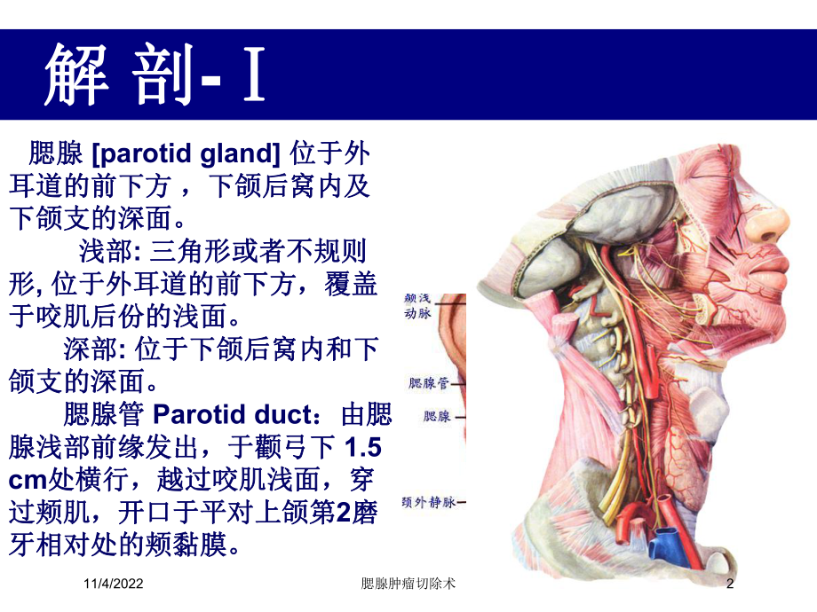 腮腺肿瘤切除术培训课件.ppt_第2页