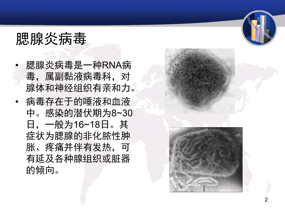 腮腺病毒与听力损伤关系课件.ppt_第2页