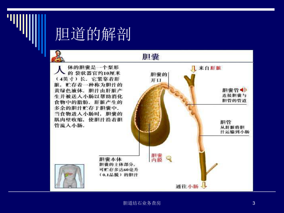 胆道结石业务查房培训课件.ppt_第3页