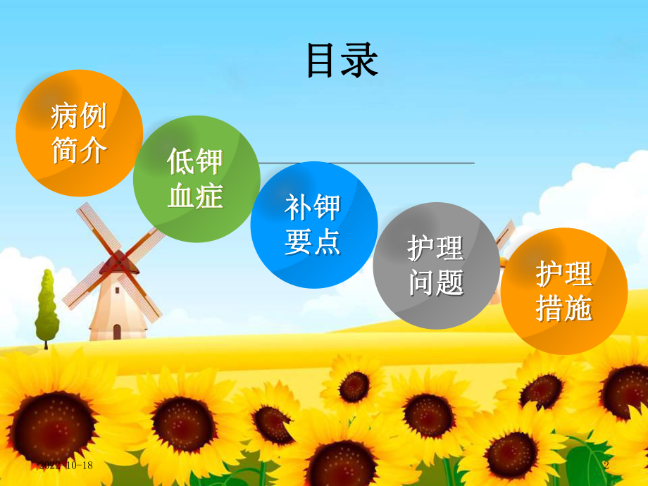 护理查房低钾血症课件2.ppt_第2页