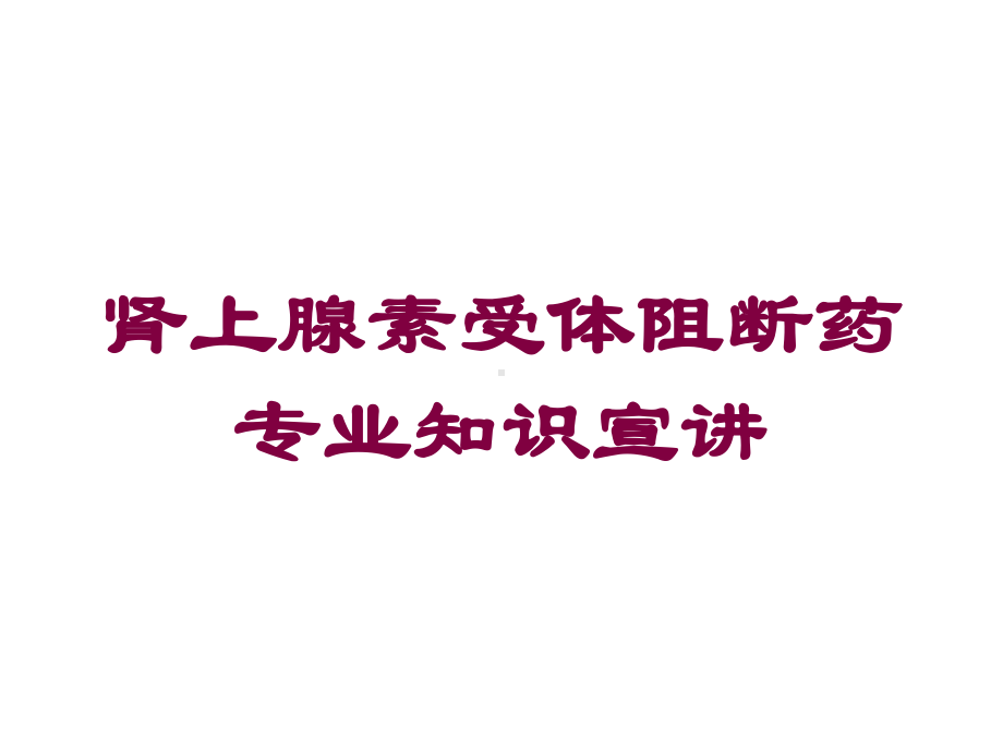 肾上腺素受体阻断药专业知识宣讲培训课件.ppt_第1页