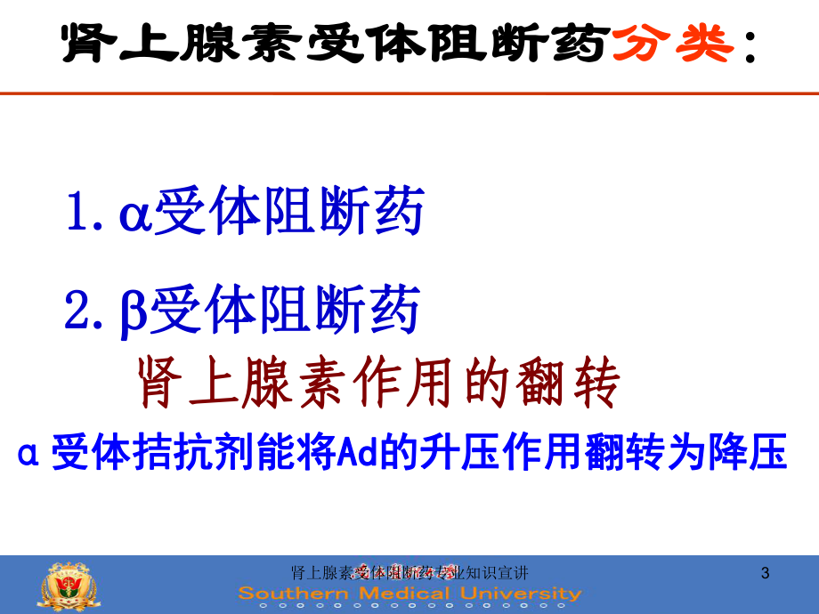 肾上腺素受体阻断药专业知识宣讲培训课件.ppt_第3页