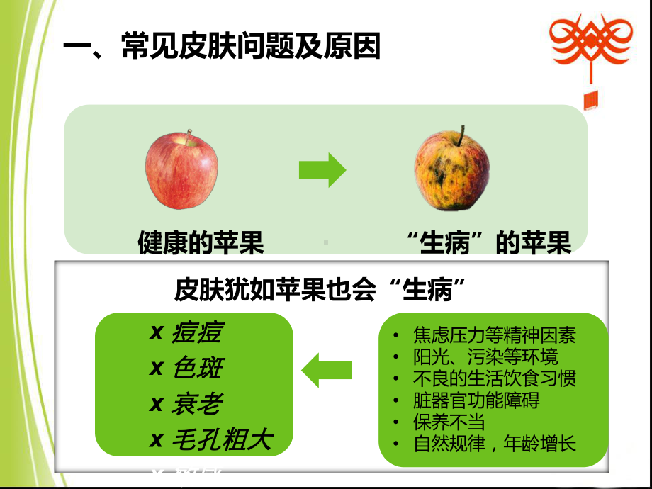 问题性皮肤护理培训课件-2.ppt_第3页