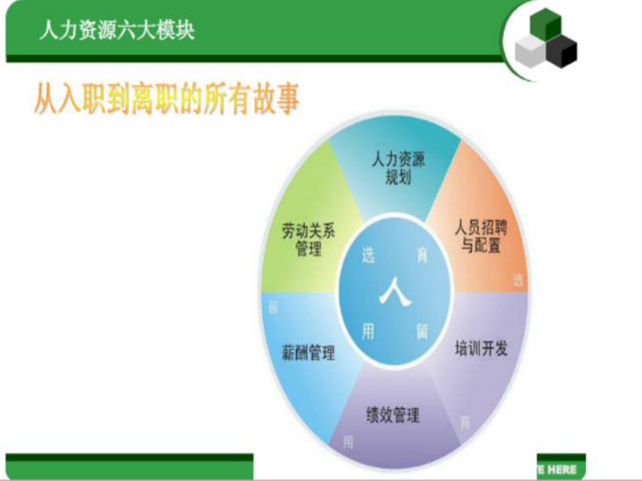 人力资源管理师三级-人力资源规划-概要课件.ppt_第2页