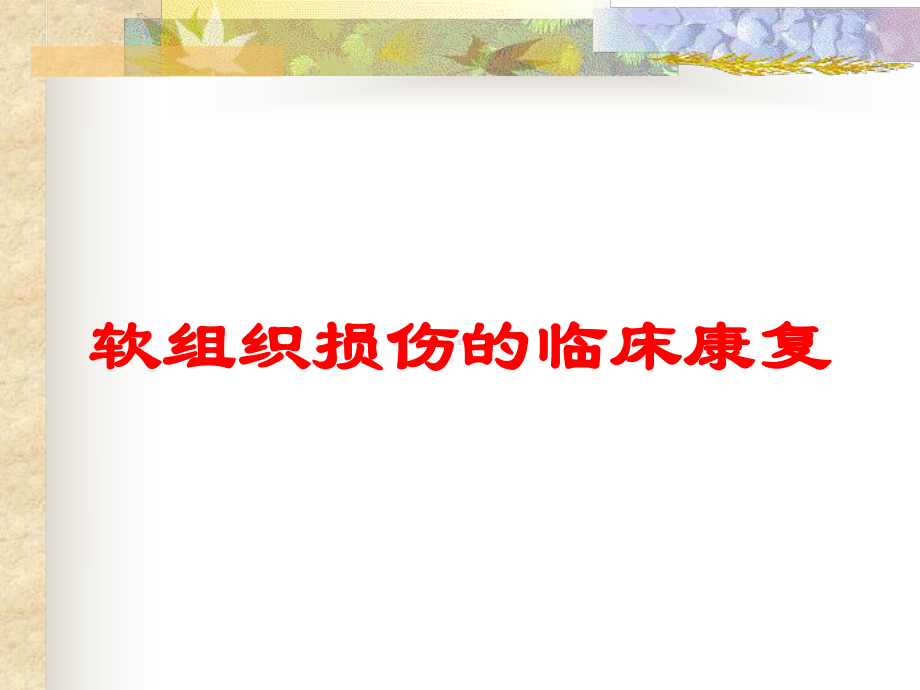 软组织损伤的临床康复培训课件.ppt_第1页