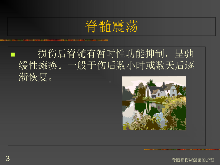 脊髓损伤尿潴留的护理培训课件.ppt_第3页