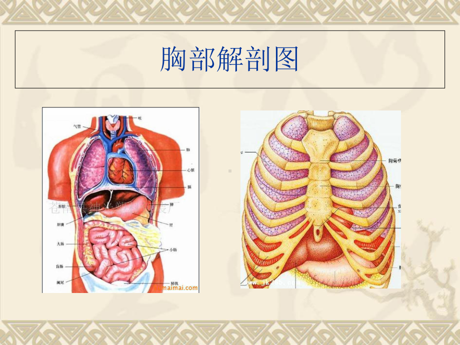 心理护理胸腔闭式引流护理课件.ppt_第2页