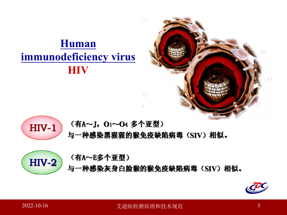 艾滋病检测原理和技术规范课件.ppt_第3页