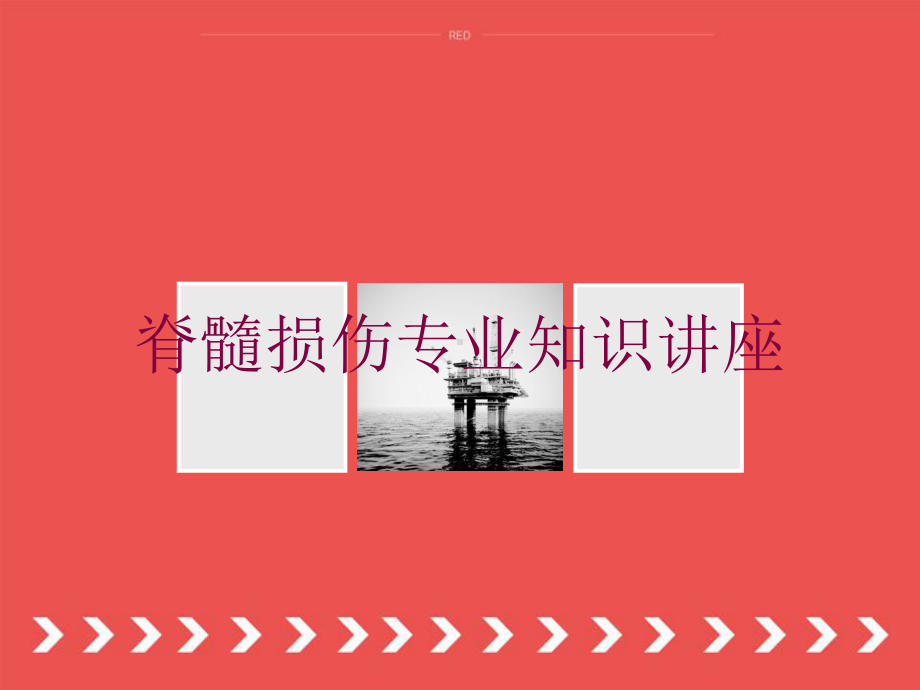 脊髓损伤专业知识讲座培训课件.ppt_第1页