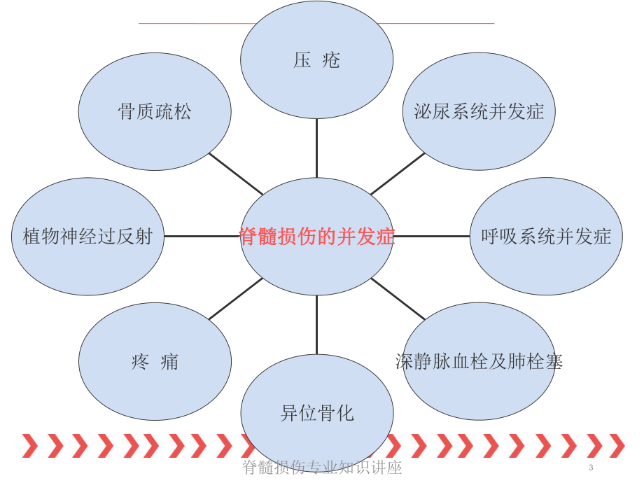 脊髓损伤专业知识讲座培训课件.ppt_第3页