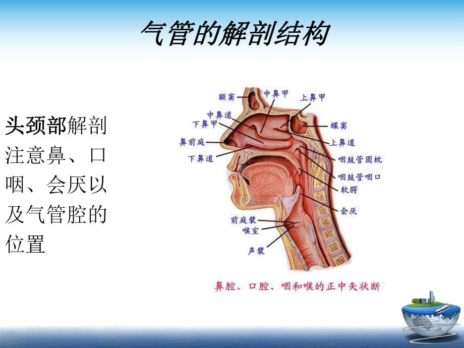 气管内插管课件.ppt_第3页