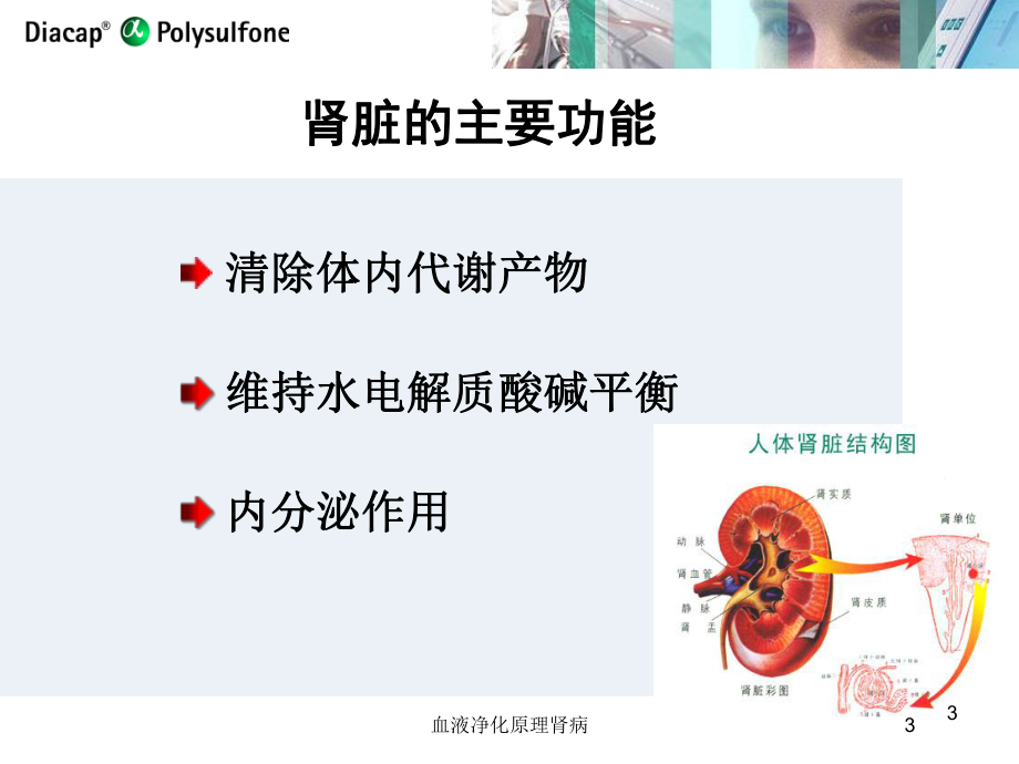 血液净化原理肾病培训课件.ppt_第3页