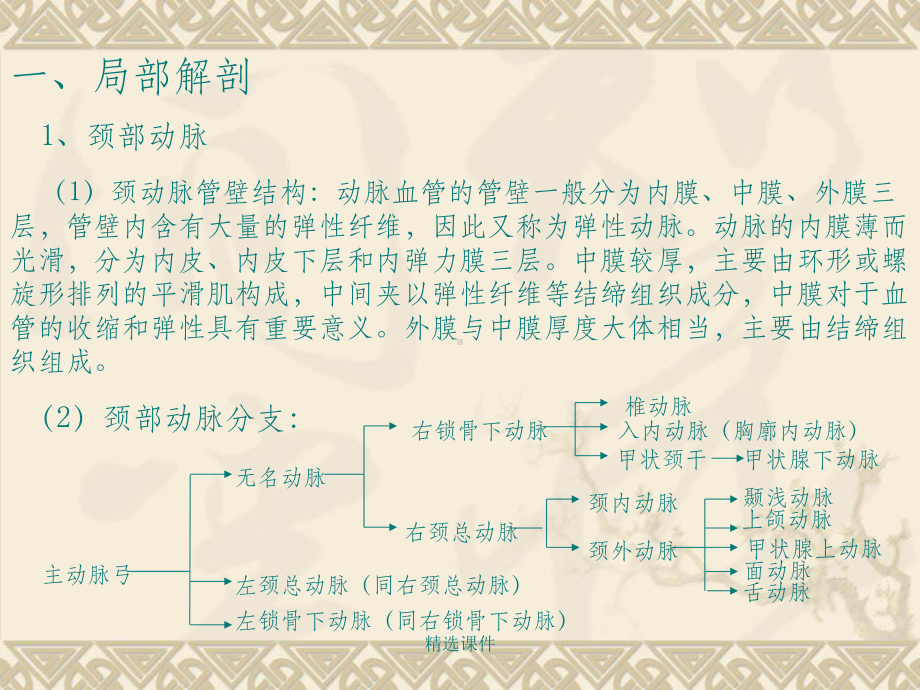 血管超声检查方法课件.ppt_第2页