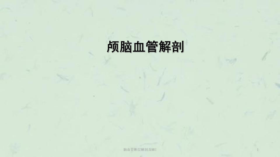 脑血管断层解剖及MRI课件.ppt_第1页