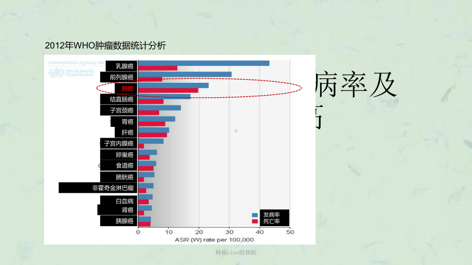 肺癌cinv的预防课件.pptx_第2页