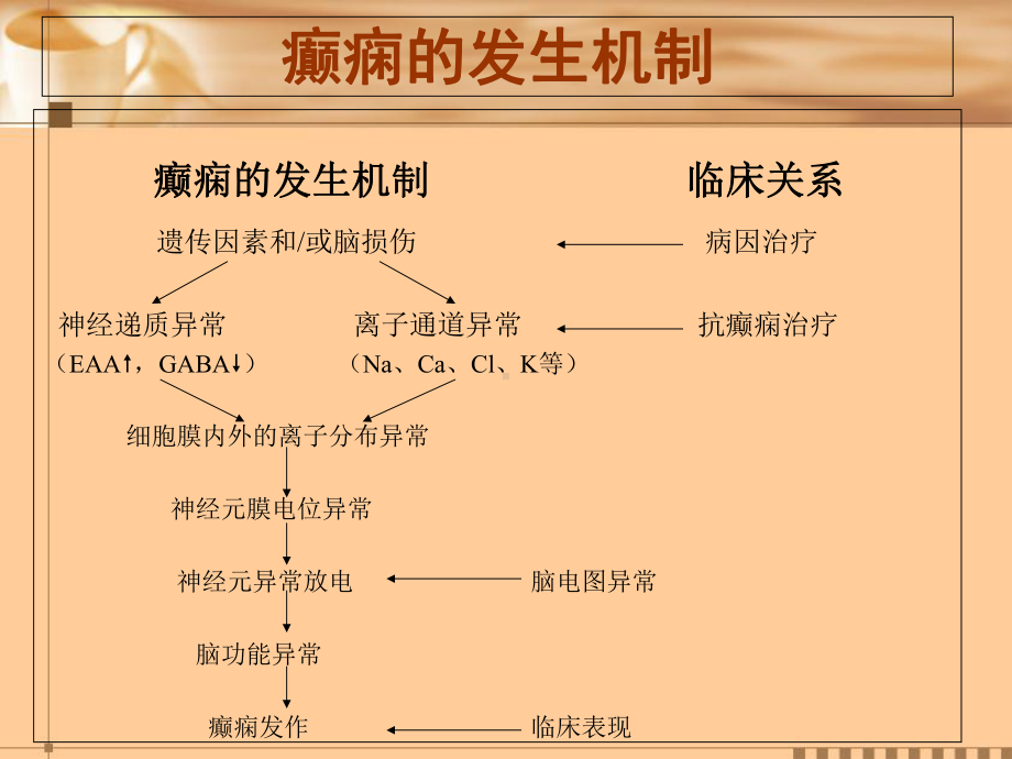 新型抗癫痫药物医学课件.ppt_第2页