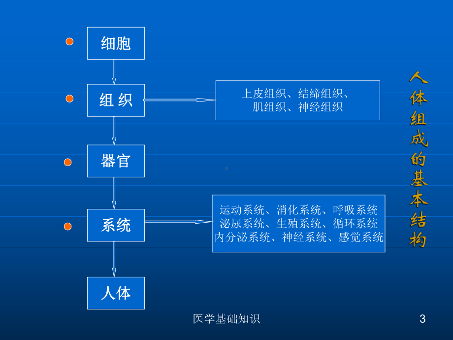 医学基础知识培训课件.ppt_第3页