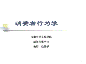 人口统计特征与消费行为课件.ppt