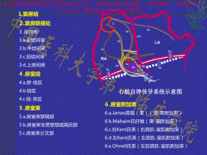 预激综合征专题知识宣讲培训课件.ppt