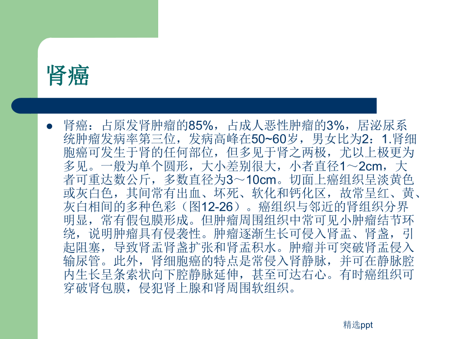 肾肿瘤病人的护理外科护理学课件.ppt_第2页