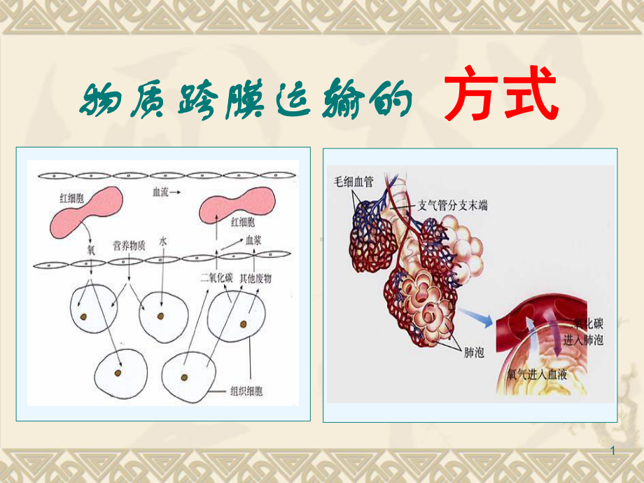 物质跨膜运输的方讲课件.ppt_第1页