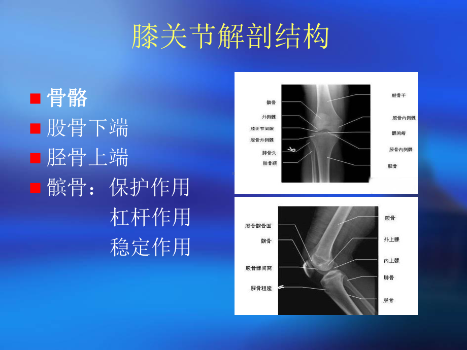 膝关节骨性关节炎健康教育讲座课件.ppt_第2页