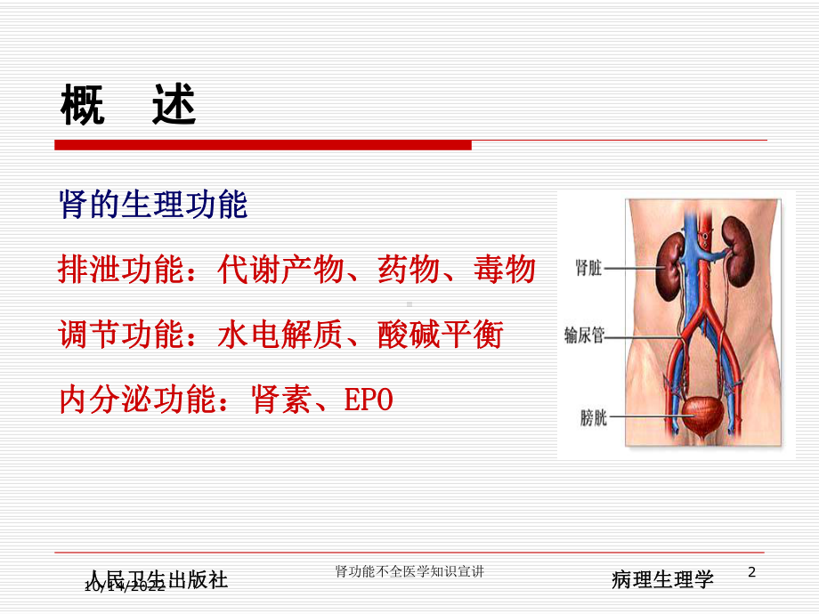 肾功能不全医学知识宣讲培训课件.ppt_第2页