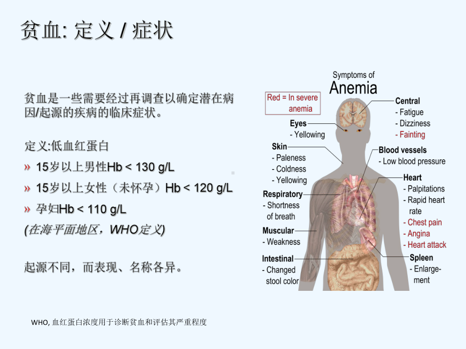 贫血的实验室检查指标-课件.ppt_第2页