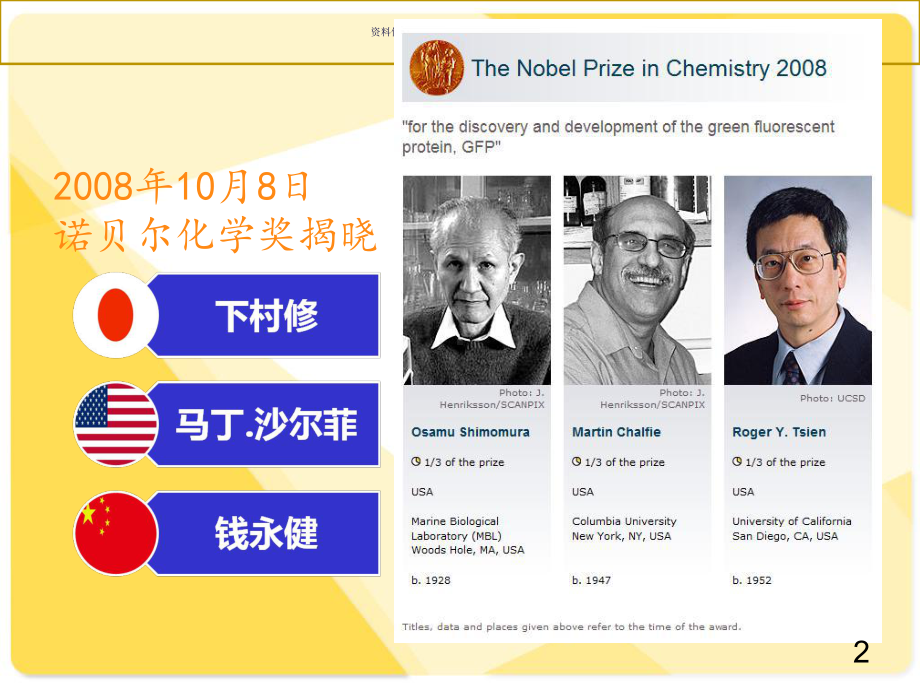 荧光蛋白医学宣教课件.ppt_第3页