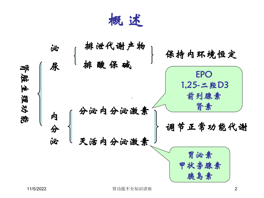 肾功能不全知识讲座培训课件.ppt_第2页