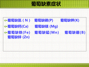 葡萄缺素症状大全课件.ppt