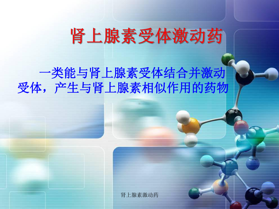 肾上腺素激动药课件.ppt_第1页