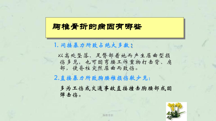 胸椎骨折课件.ppt_第3页