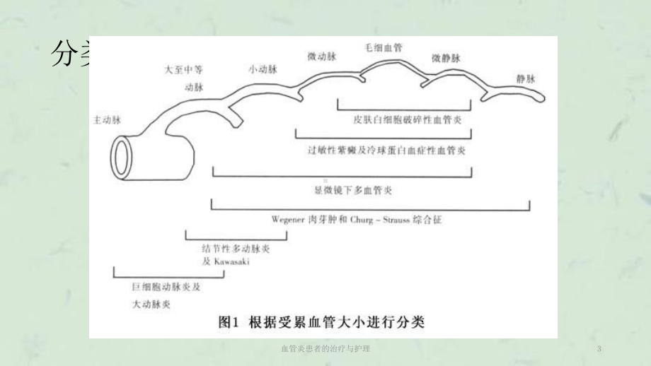 血管炎患者的治疗与护理课件.ppt_第3页