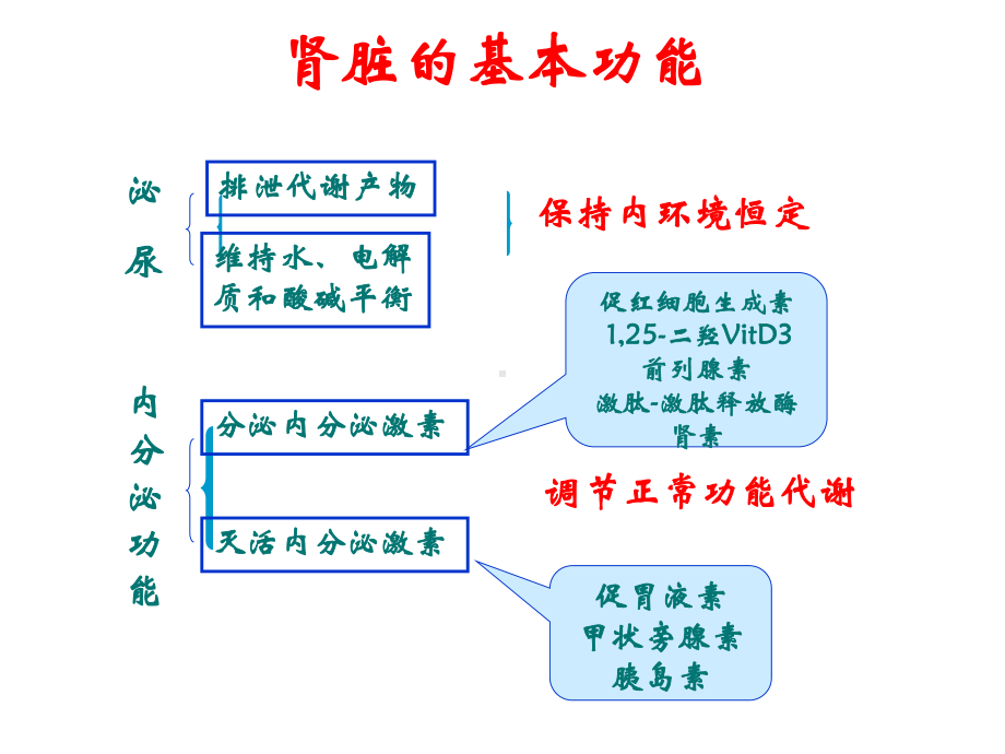 肾功能不全药学课件.pptx_第3页