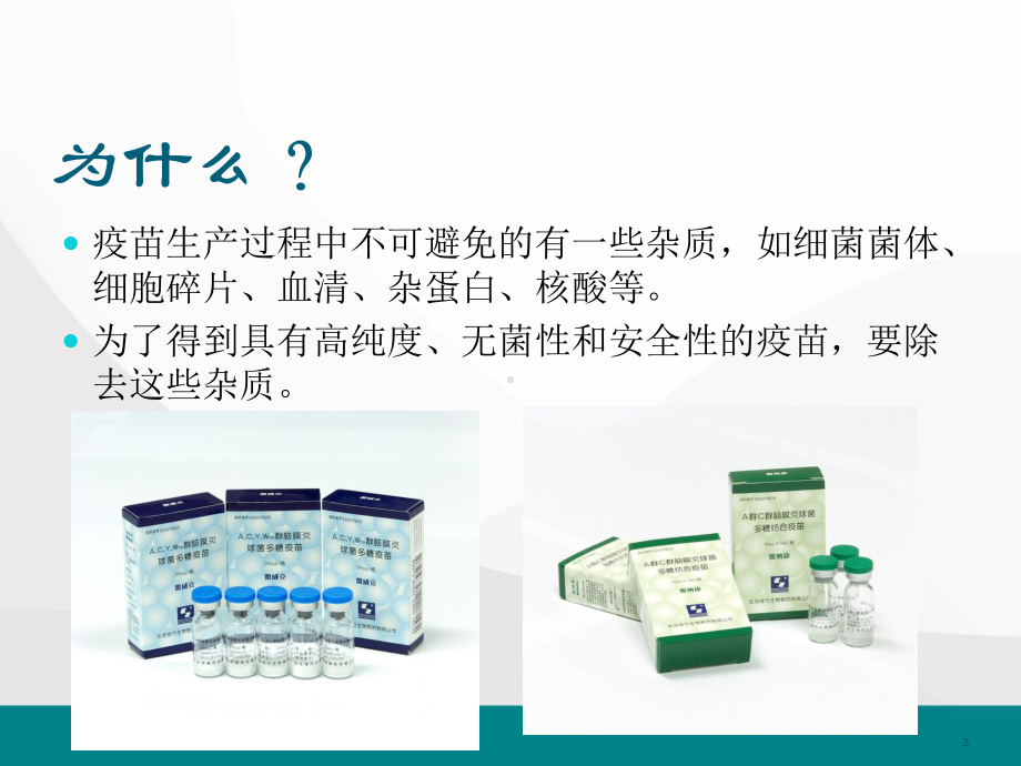 疫苗分离纯化技术医学课件.pptx_第2页