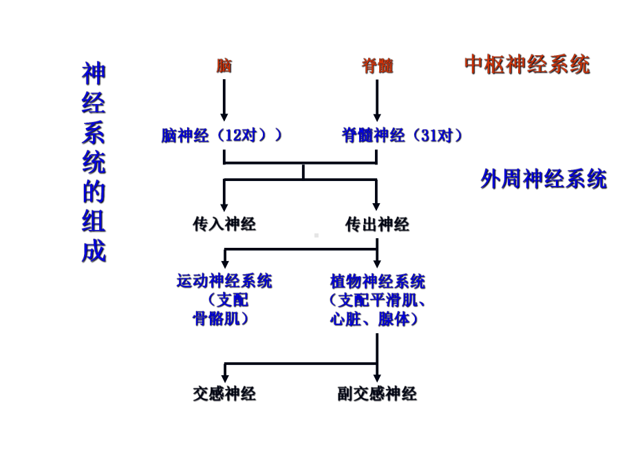 药物对神经系统的毒性课件.pptx_第2页