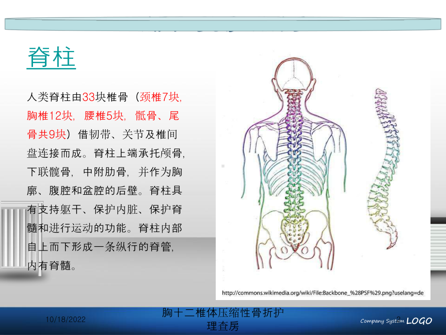 胸十二椎体压缩性骨折护理查房培训课件.ppt_第2页