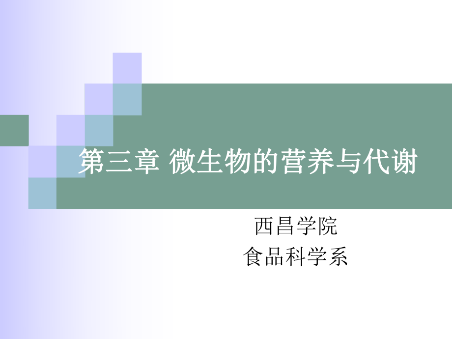 微生物的代谢课件-3.ppt_第1页