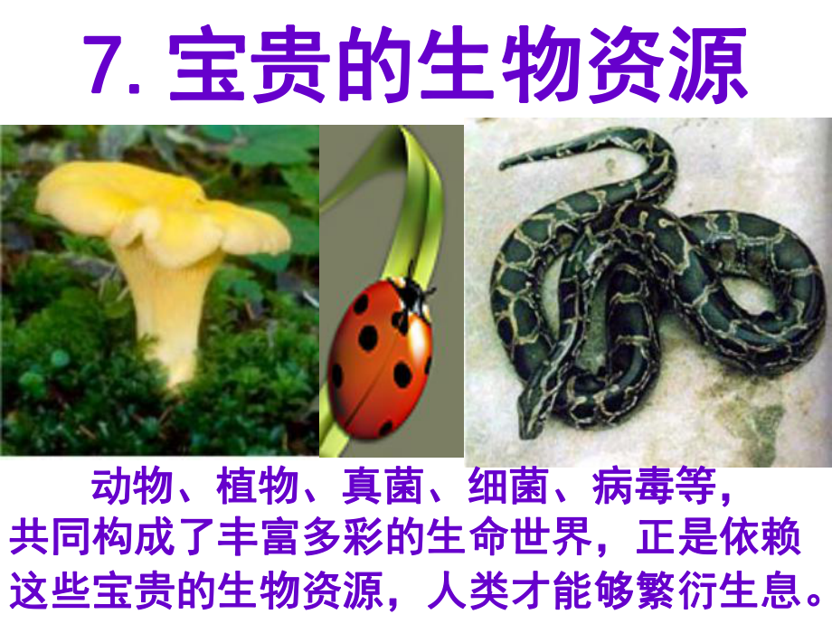 宝贵的生物资源课件.ppt_第1页