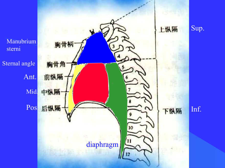 胸部ct纵隔窗课件.ppt_第3页