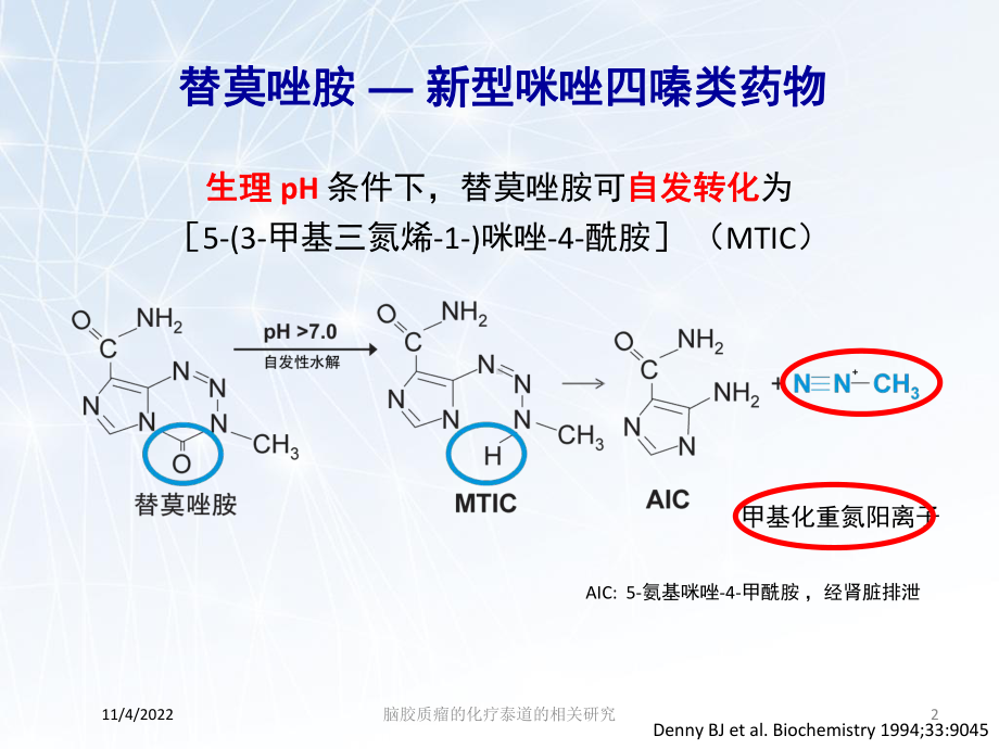 脑胶质瘤的化疗泰道的相关研究培训课件.ppt_第2页